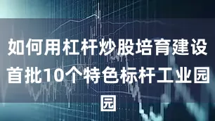 如何用杠杆炒股培育建设首批10个特色标杆工业园