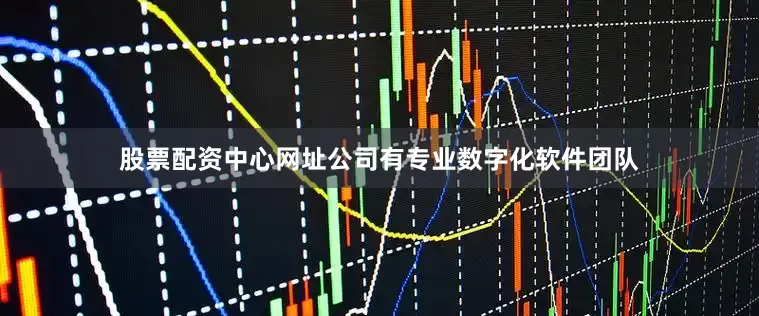 股票配资中心网址公司有专业数字化软件团队