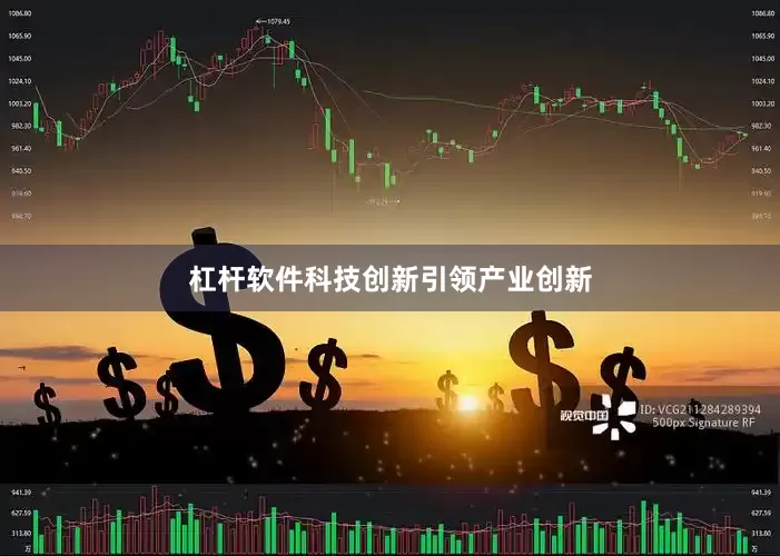 杠杆软件科技创新引领产业创新