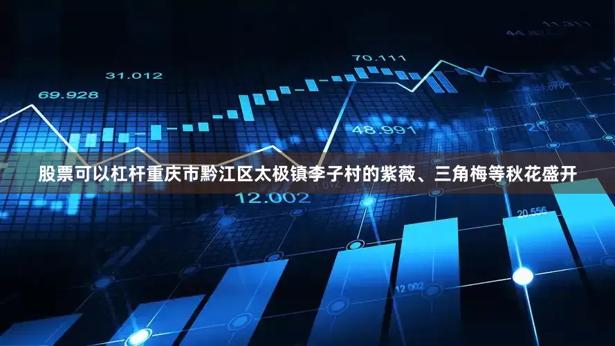 股票可以杠杆重庆市黔江区太极镇李子村的紫薇、三角梅等秋花盛开