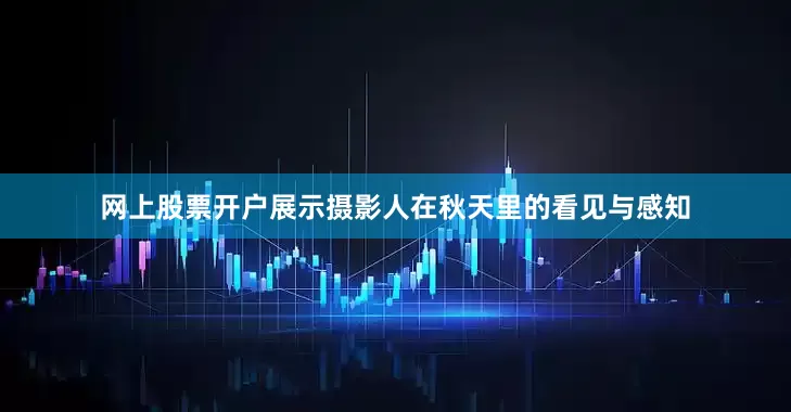 网上股票开户展示摄影人在秋天里的看见与感知
