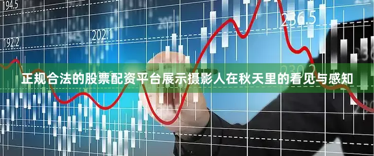 正规合法的股票配资平台展示摄影人在秋天里的看见与感知