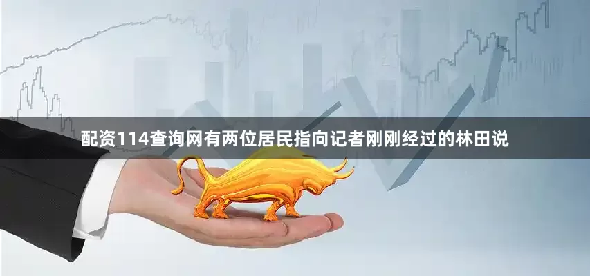 配资114查询网有两位居民指向记者刚刚经过的林田说